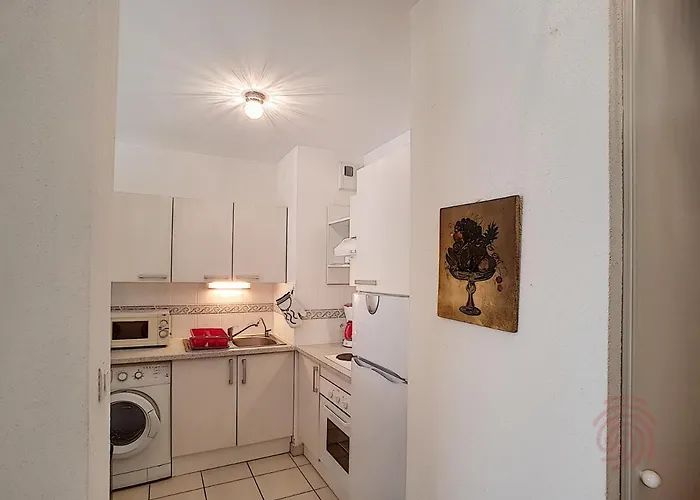 Apartamento F2 Avec Terrasse, Clim, Parking Prive, Proche Centre-ville Et Thermes, Animaux Acceptes - Fr-1-451-135 *